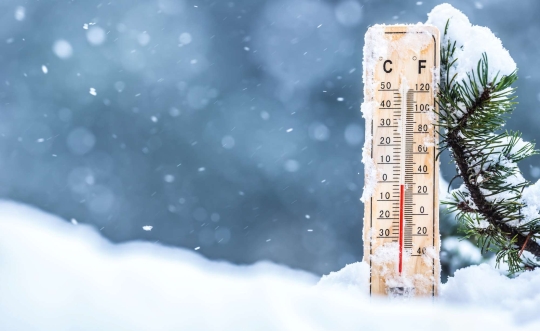 Thermometer in the snow. 