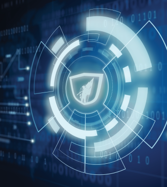 Graphic that looks like cyber info with CIG logo in it.